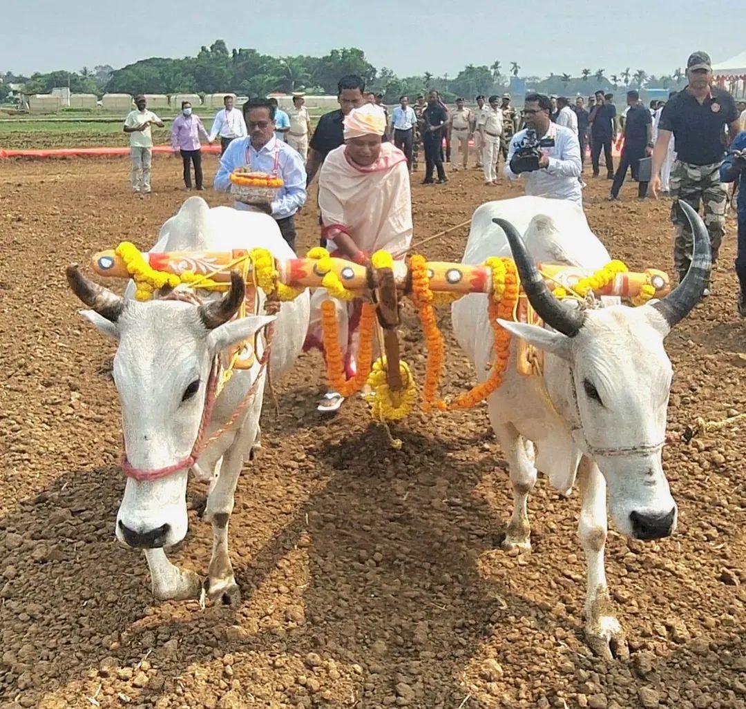 Akshaya Tritiya 2026: Rath Yatra Chariot Work Begins, CM Majhi Releases Rs 831 Crore Aid To Farmers In Odisha