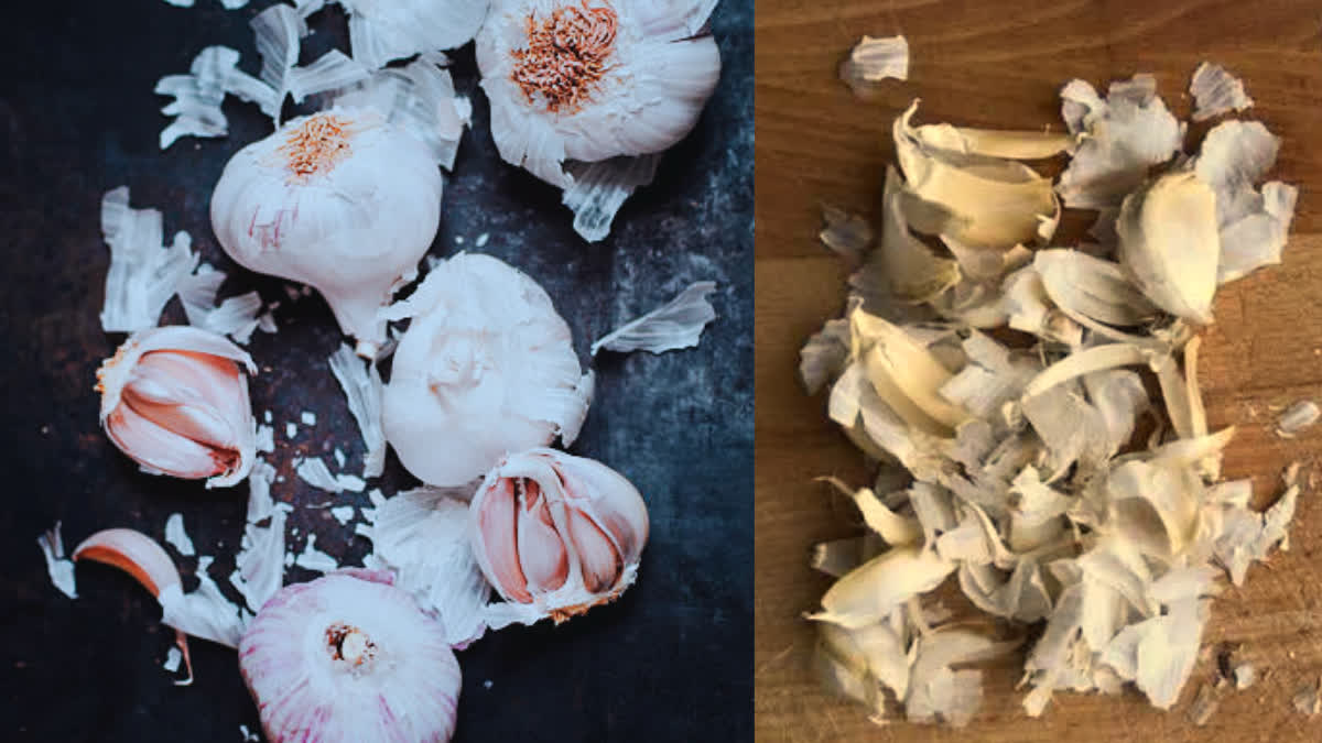 When buying garlic from the market, be sure to steer clear of these four types, no matter how cheap they may be.