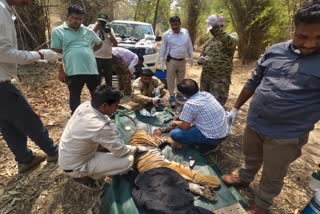 Bandhavgarh Tiger Reserve