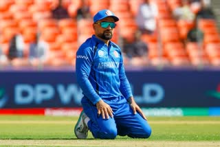 معروف کرکٹر راشد خان