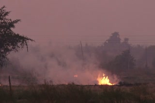 MP STUBBLE BURNING BANNED 3 MONTH