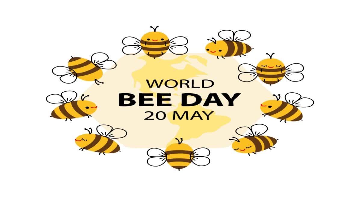 World Bee Day