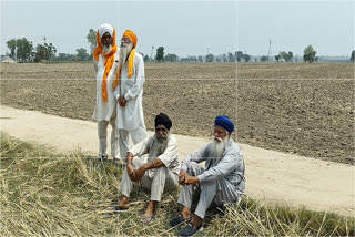 Farmers in border villages upset over farming across barbed wire; angry over time restrictions imposed by BSF