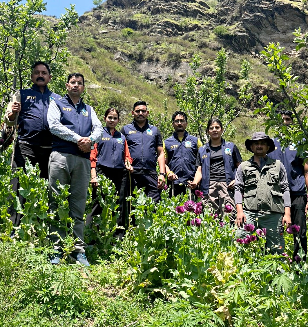 KULLU BANJAR OPIUM FARMING