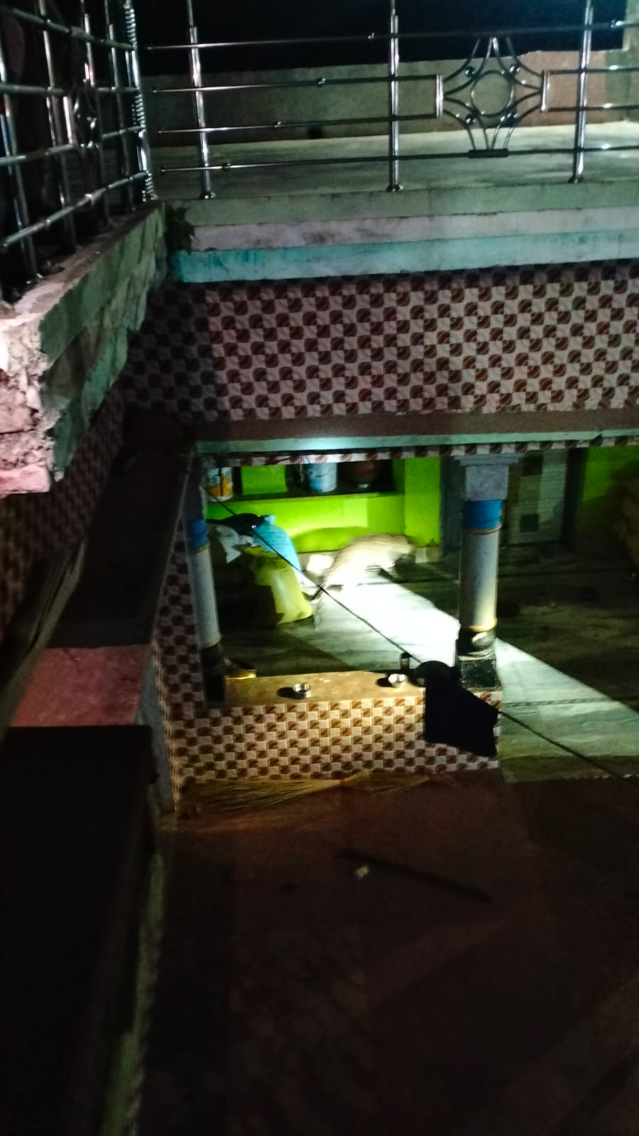 Mob beats leopard to death in Bharatpur