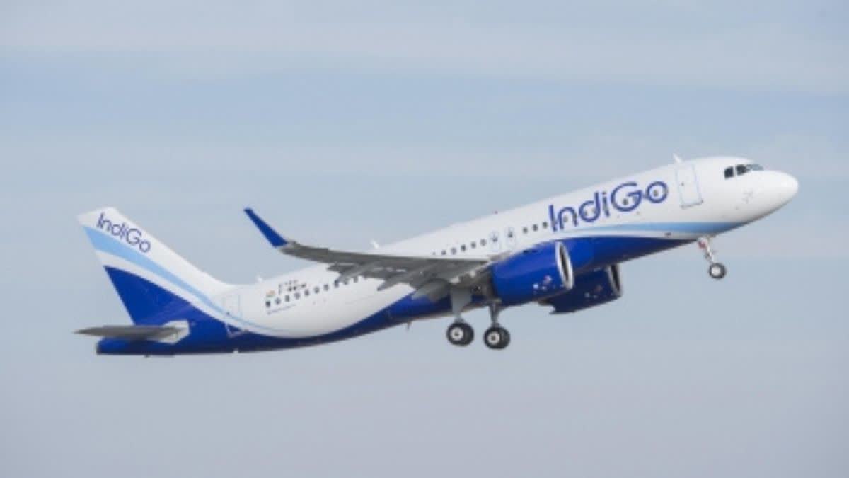 indigo flight