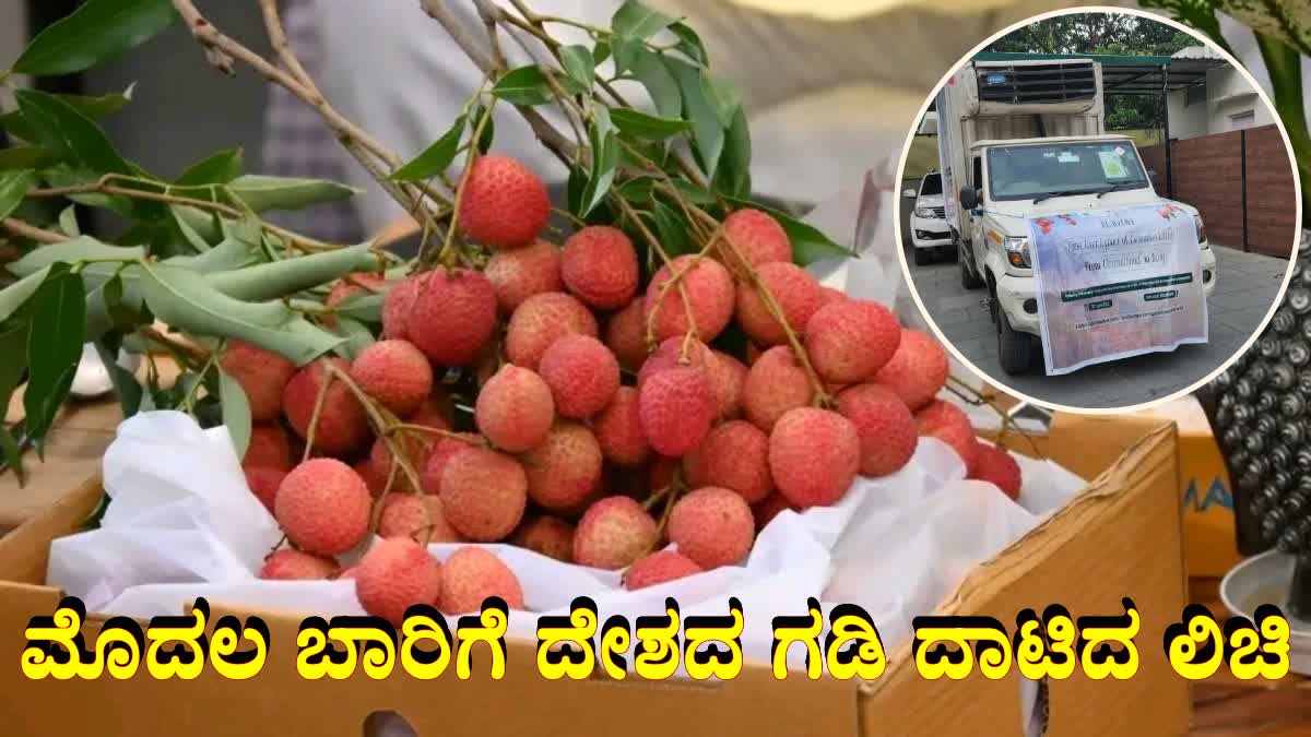 ಉತ್ತರಾಖಂಡ: ಪ್ರಸಿದ್ಧ ಲಿಚಿ ಹಣ್ಣುಗಳನ್ನು ಇದೇ ಮೊದಲ ಬಾರಿಗೆ ಇಟಲಿಗೆ ರಫ್ತು ಮಾಡಲಾಯಿತು.