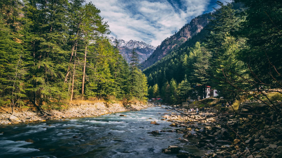 हिमाचल में AI के जरिए वन संपदा का आकलन