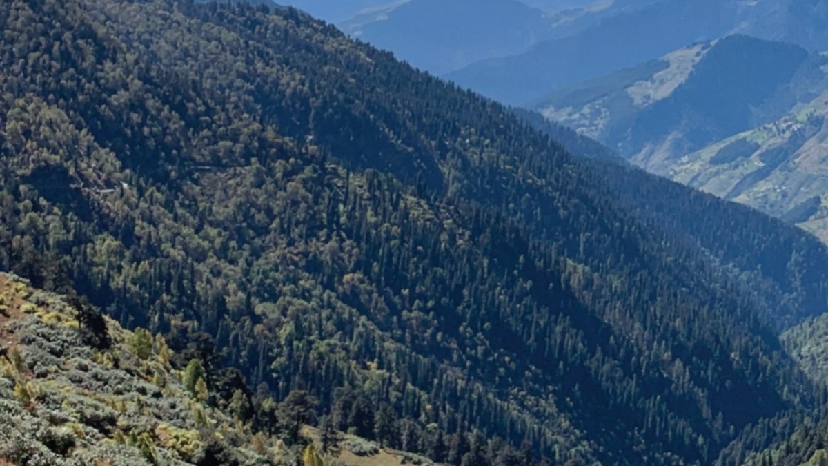 हिमाचल वन संपदा का आकलन