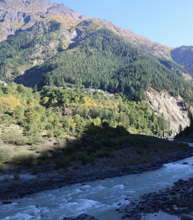 हिमाचल की वन संपदा