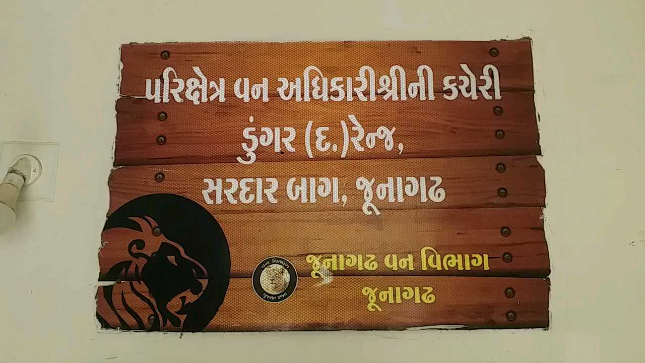 વનવિભાગે ગણેશનગરના સ્થાનિકોને રહેણાંકના આધાર પુરાવા રજૂ કરવા આપ્યો 48 કલાકનો સમય