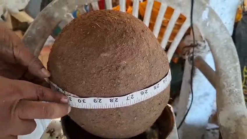 madhya pradesh biggest seed ball news