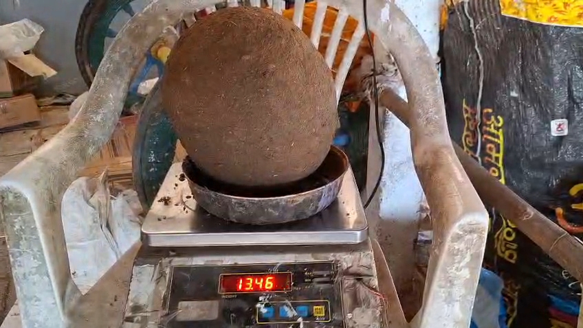 Seed ball record india