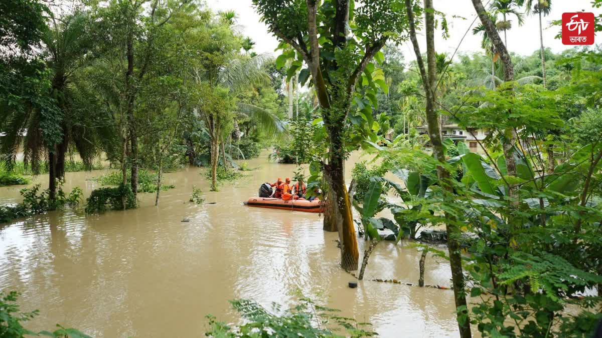 Sivasagar Flood