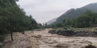 Rains bring smile on farmers in Tral People breathe a sigh of relief after rain in Tral Urdu News