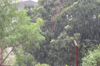 heavy-rain-in-dakshina-kannada-district-water-levels-in-rivers-rise-electricity-poles-uprooted