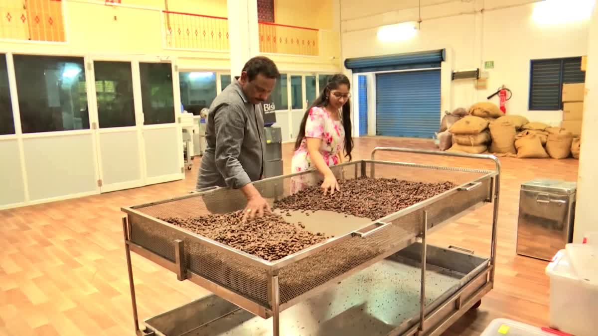 Cocoa Farmers Principles In Crop Management