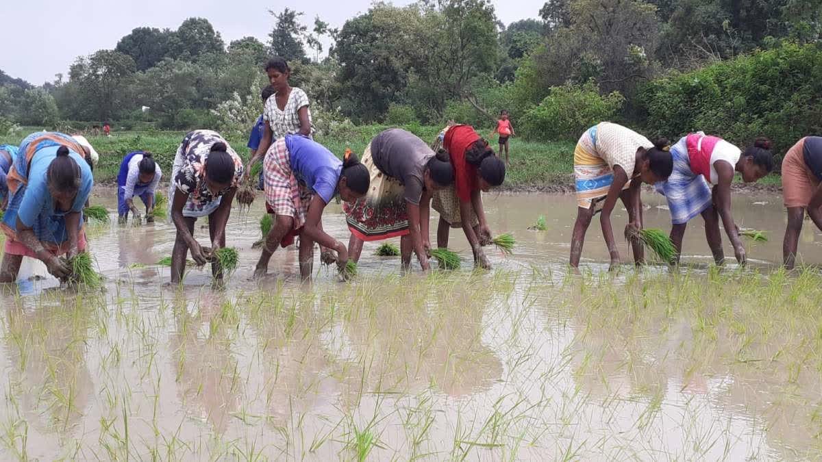 jharkhand-monsoon-rainfall-deficit-reduced-to-10-percent