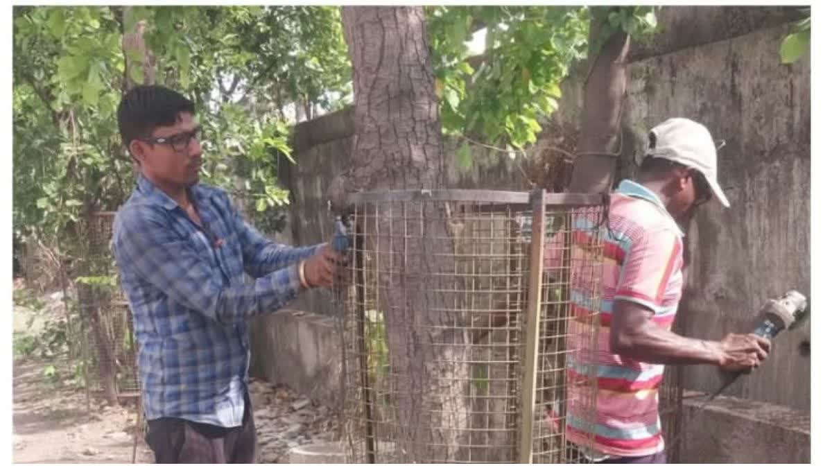 PROJECT PUNARJEEVAN ABHIYAN