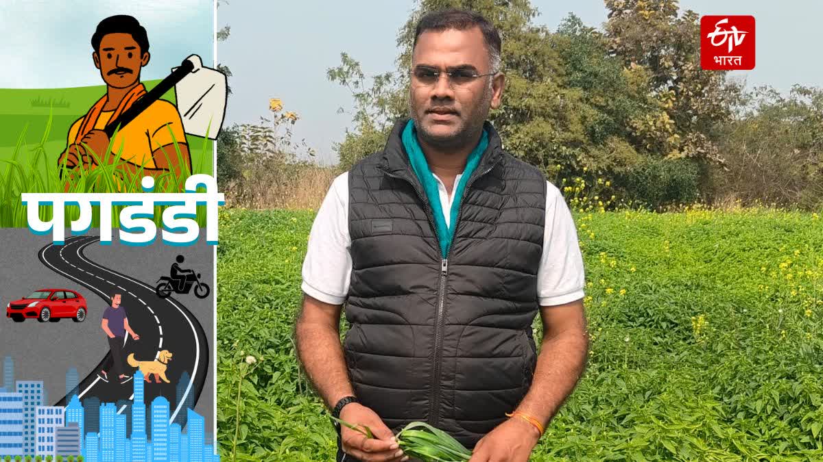 ANIRUDH SINGH STRAWBERRY FARMING