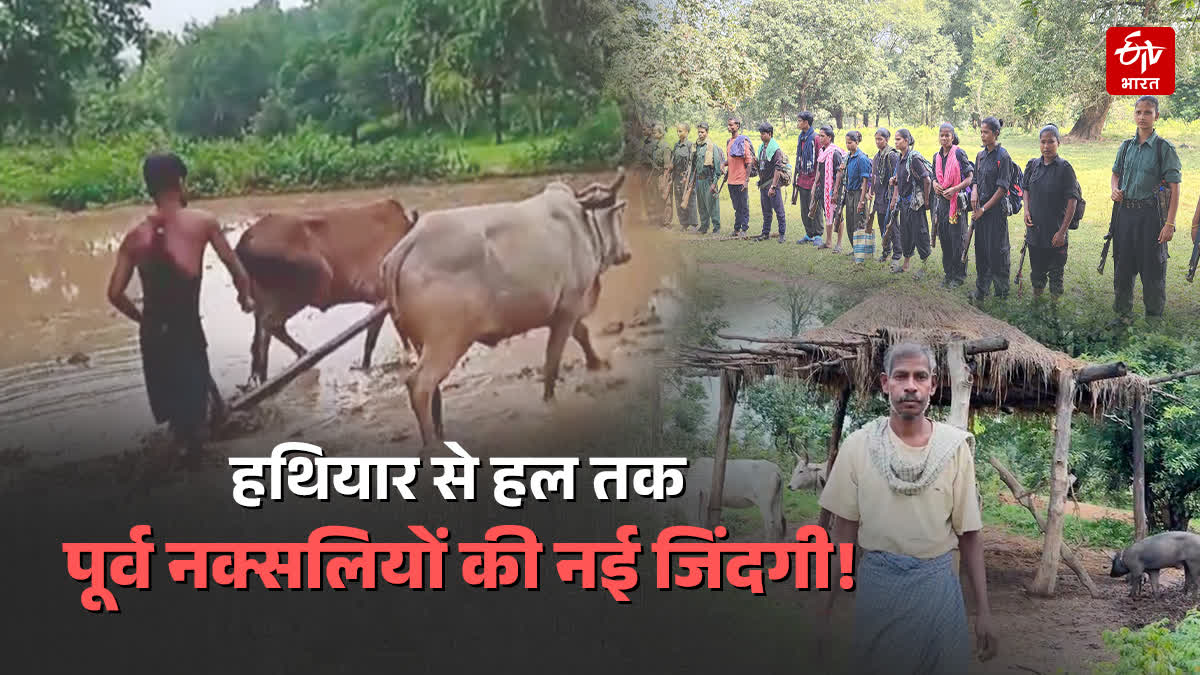 Life of former Naxalites