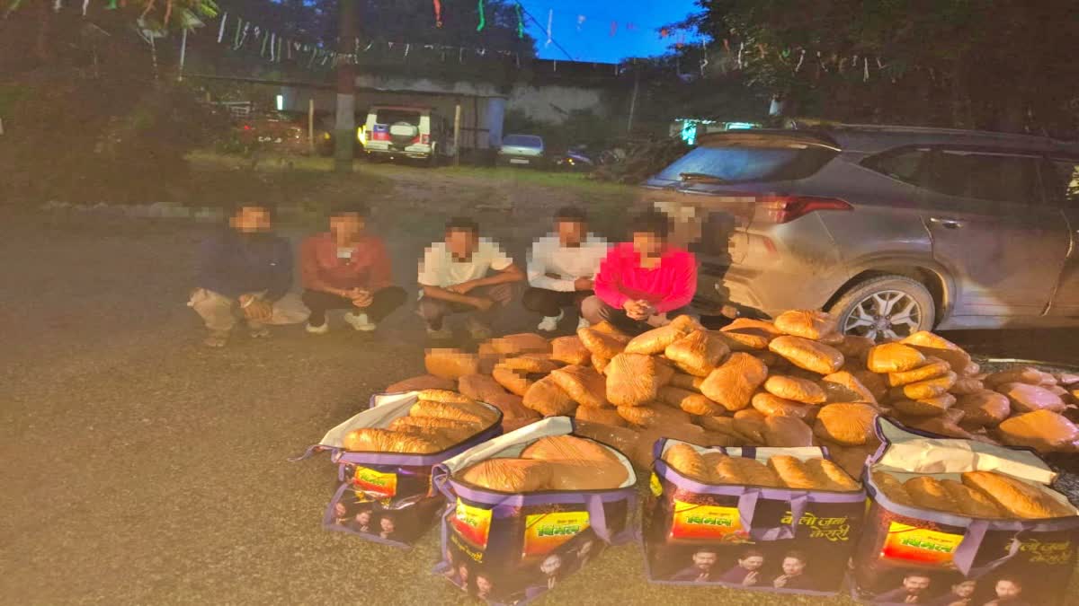 200 KG CANNABIS SEIZED