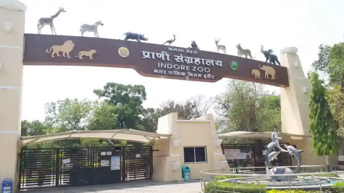 INDORE KAMALA NEHRU ZOOLOGICAL