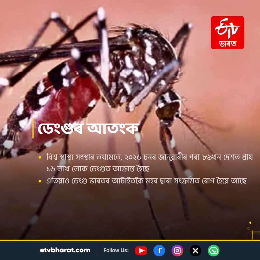WORLD MOSQUITO DAY 2026