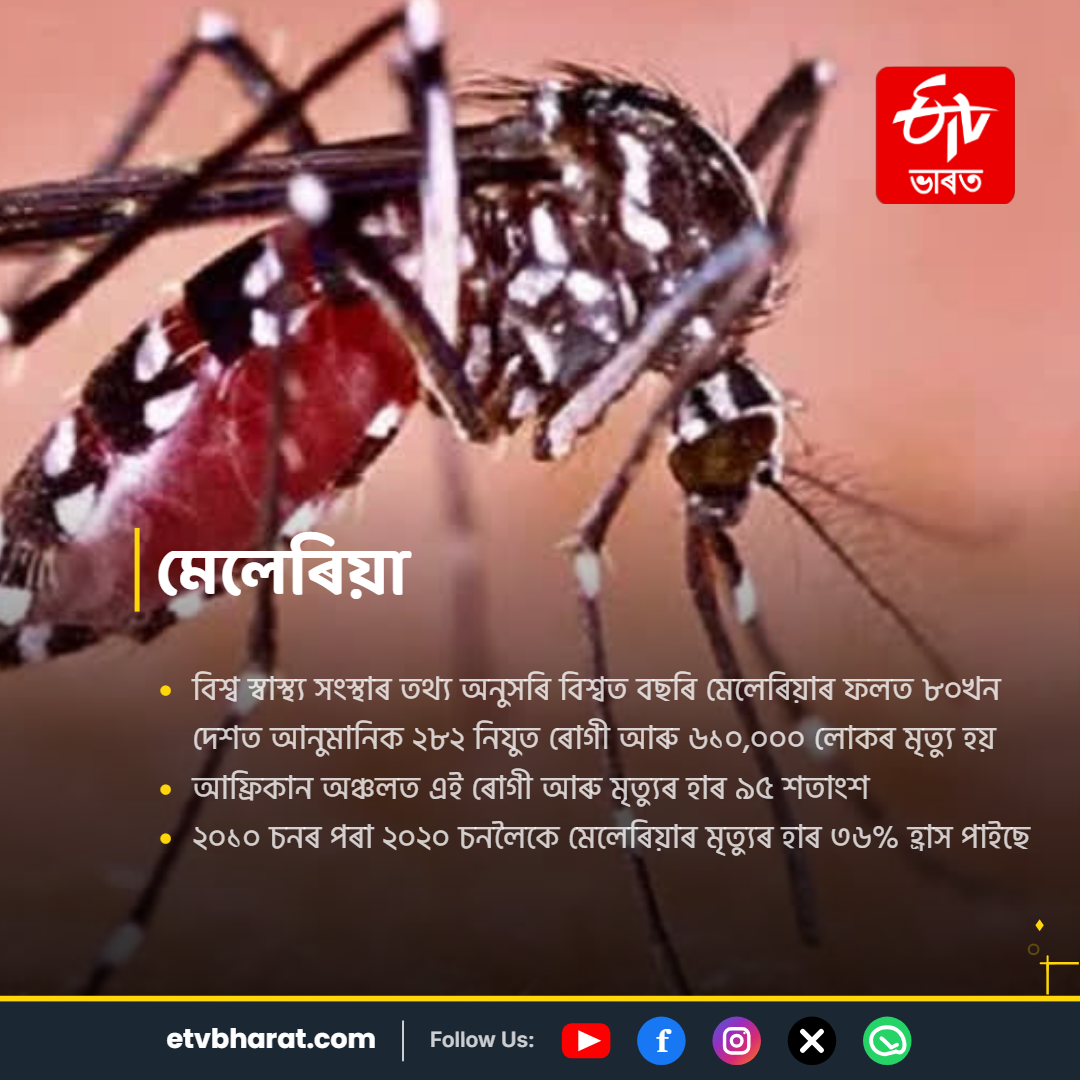 WORLD MOSQUITO DAY 2026