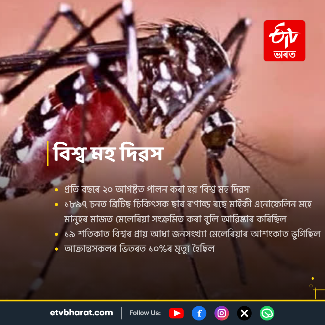 WORLD MOSQUITO DAY 2026