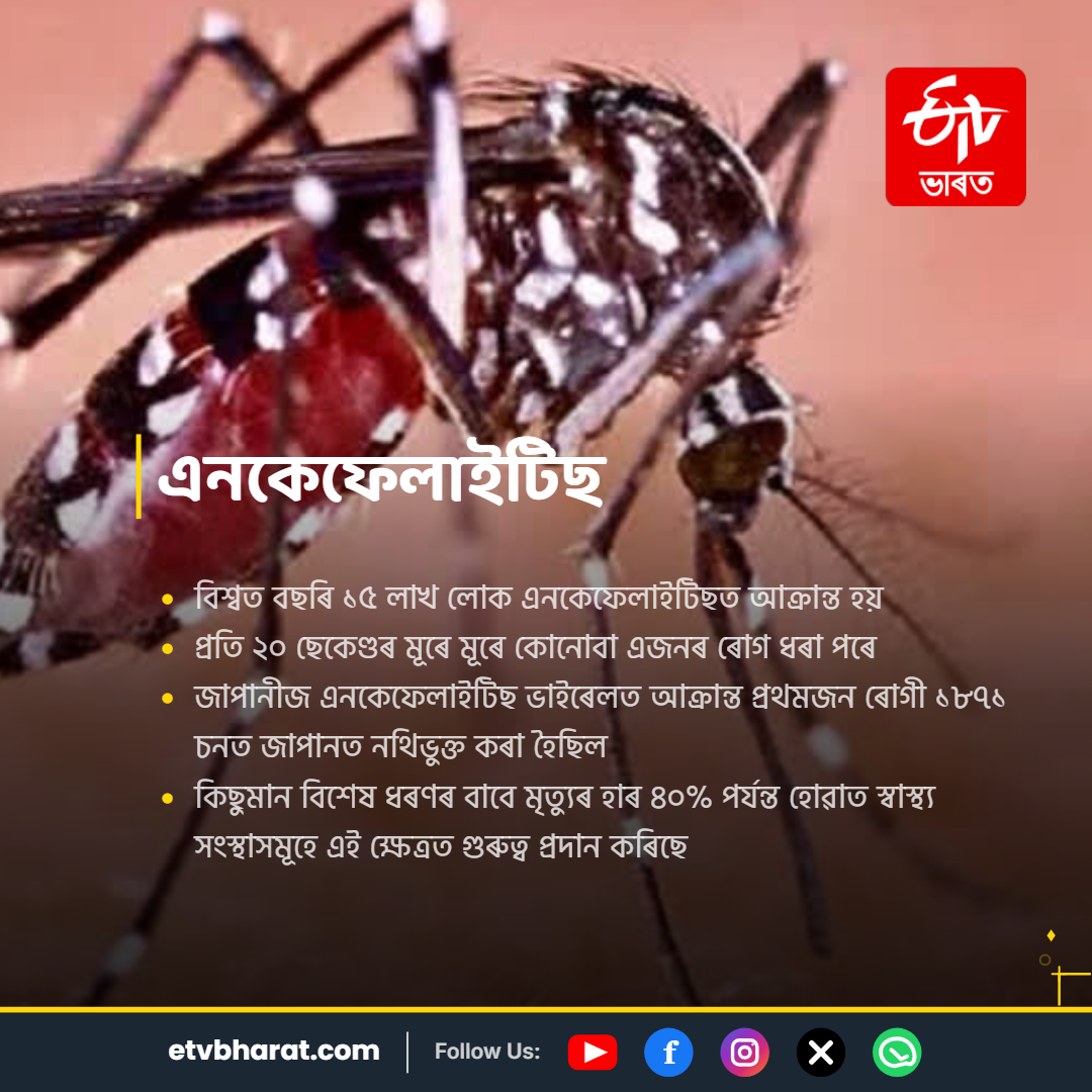 WORLD MOSQUITO DAY 2026