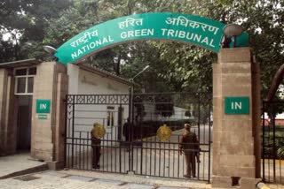 A file photo of the National Green Tribunal.