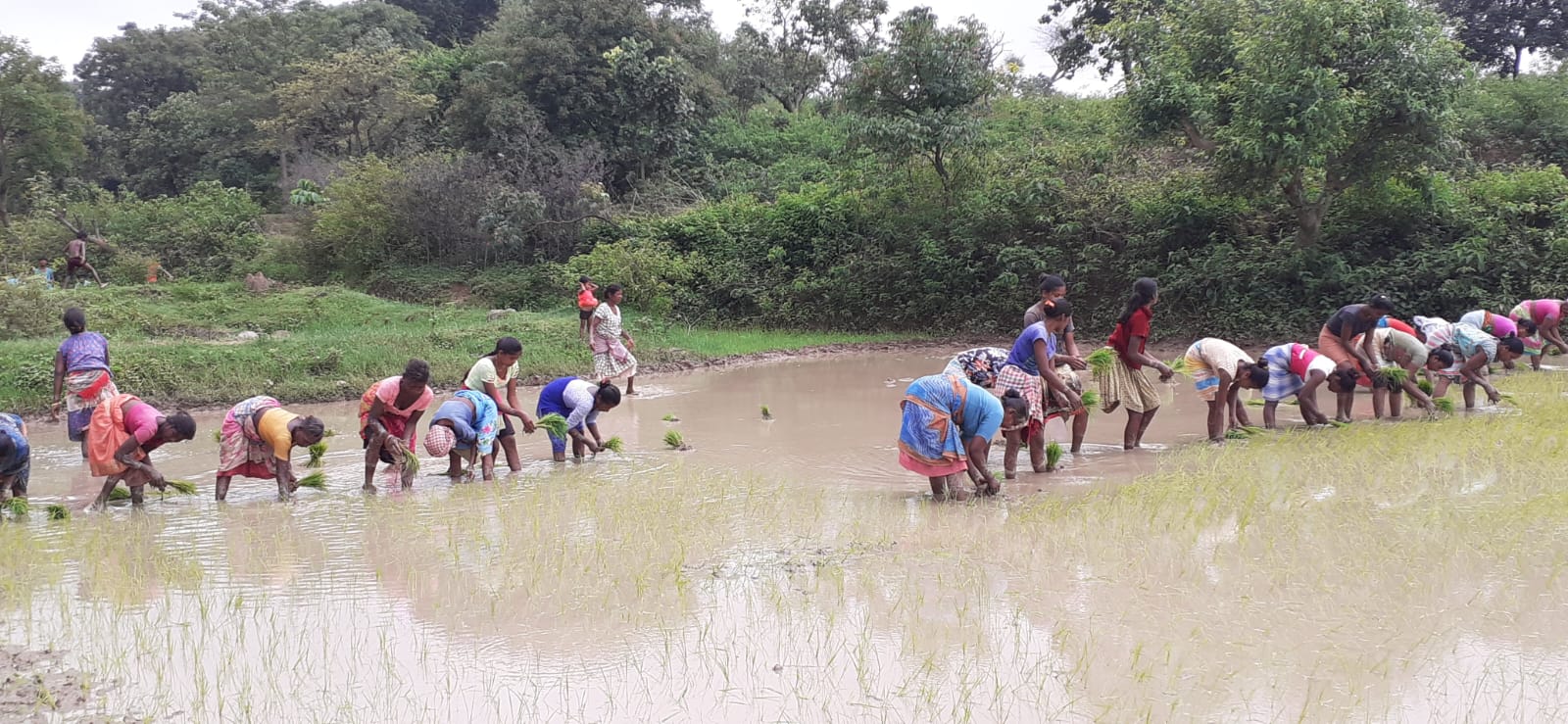 Jharkhand monsoon rainfall deficit reduced to 10%