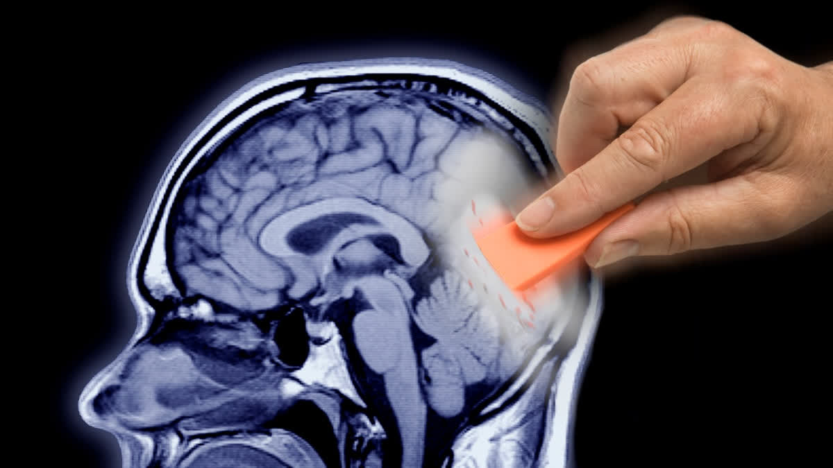 World Alzheimer’s Day 2025: Detecting The Early Signs, How To Tell ...