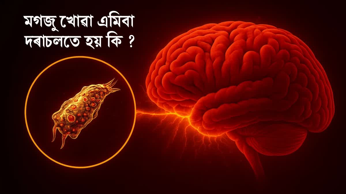 Kerala Amoeba Infection: Causes, Symptoms, Death Toll and Doctor's Detailed Explanation