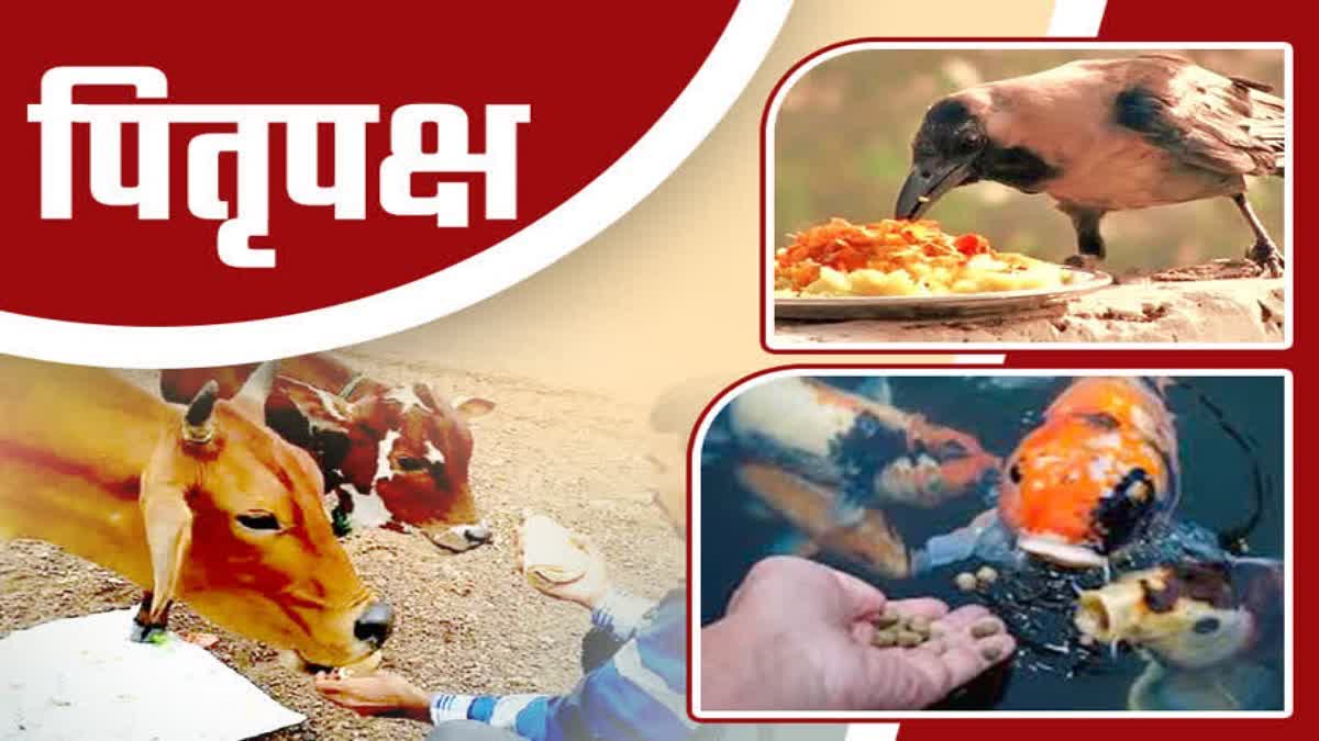 पितृपक्ष