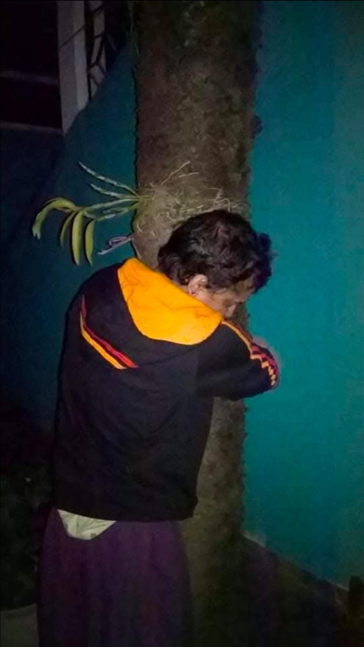 pine tree Zubeen Garg planted in front of his childhood home in jorhat