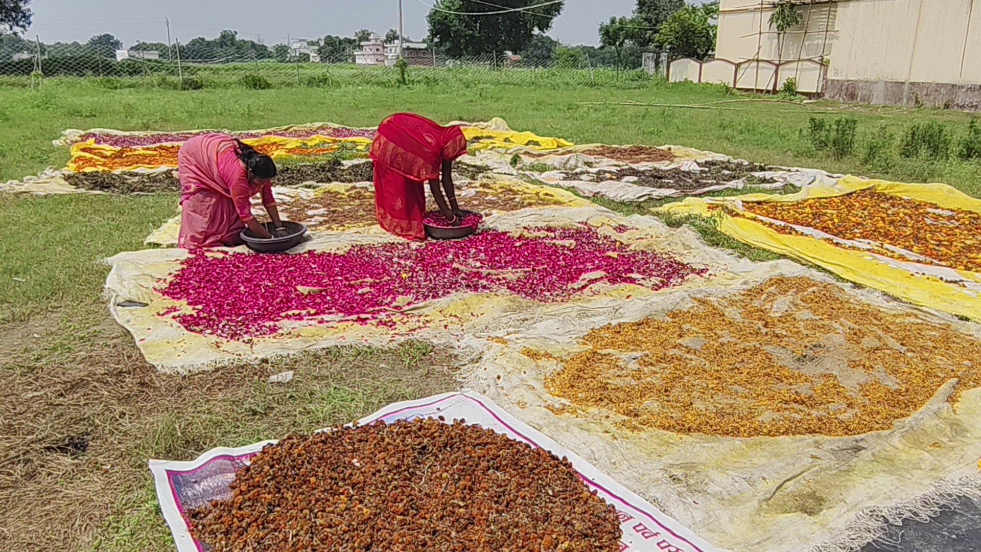 Varanasi Women Turn Temple Flowers Into Income, Empowering 200 Families