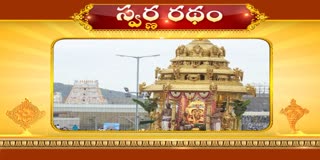 మలయప్ప స్వామి స్వర్ణరథంపై అభయ ప్రదానం