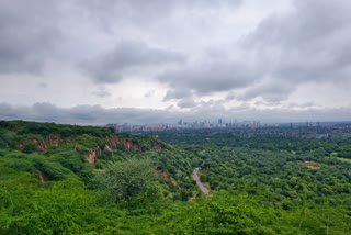 Aravalli Hills near the Leopard Trail, with the distant city skyline visible under a cloudy sky in Gurugram