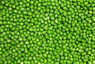 Green Peas