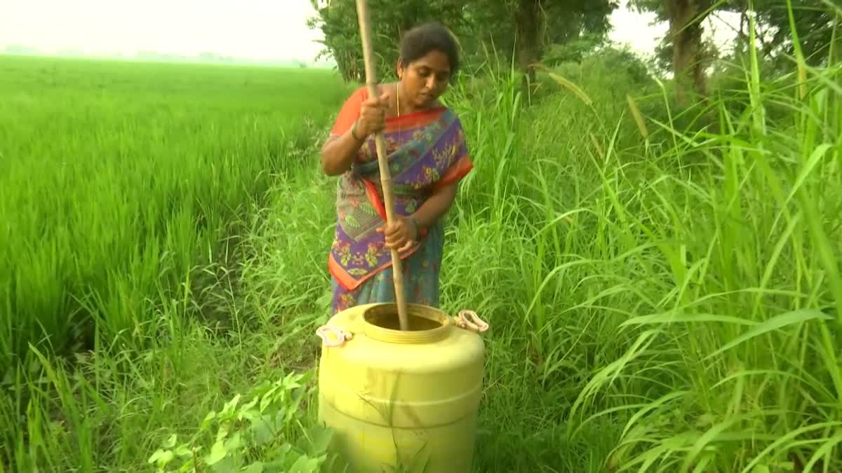 Special Story On Organic Farming in Guntur District