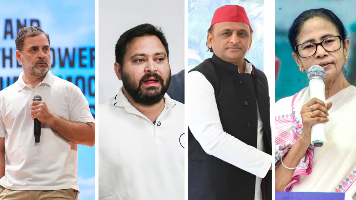 Questions over INDIA bloc leadership as SP, TMC flex muscles