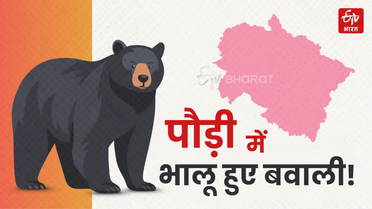 Uttarakhand Bear Attack Cases