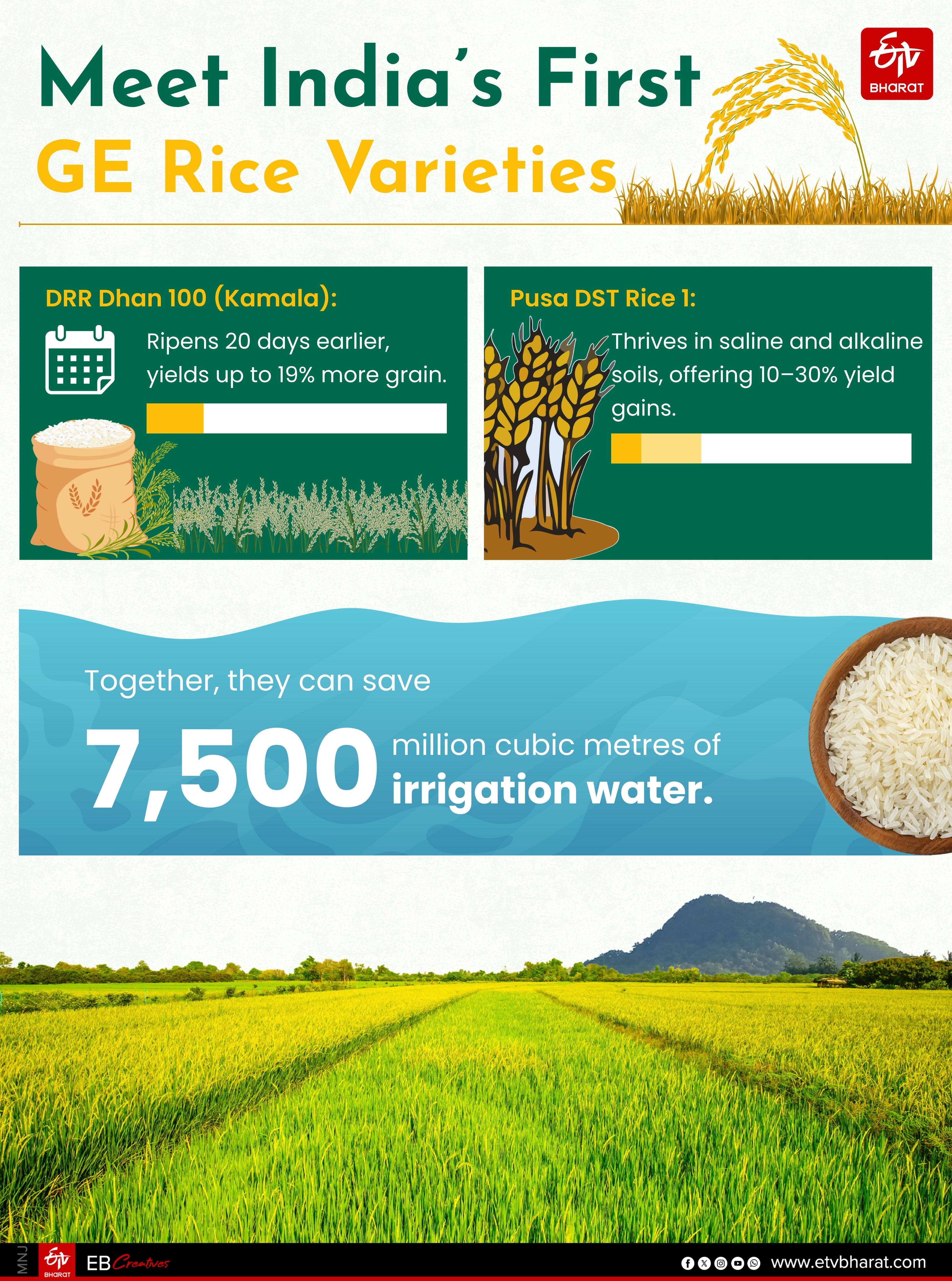 ATMANIRBHAR BHARAT  ICAR  DRR DHAN 100  PUSA DST RICE