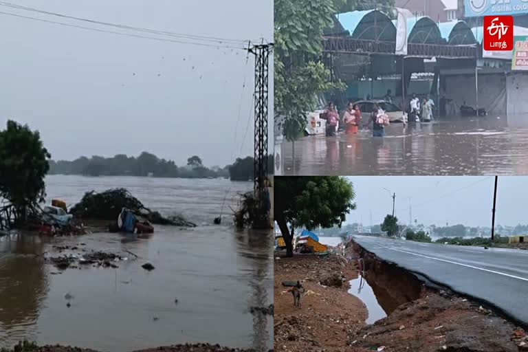 நெல்லை கனமழை வெள்ளத்தால் இதுவரை 7 பேர் உயிரிழப்பு.. மாவட்டம் முழுவதும் 70,000 ஏக்கர் விளை நிலங்கள் சேதம்!