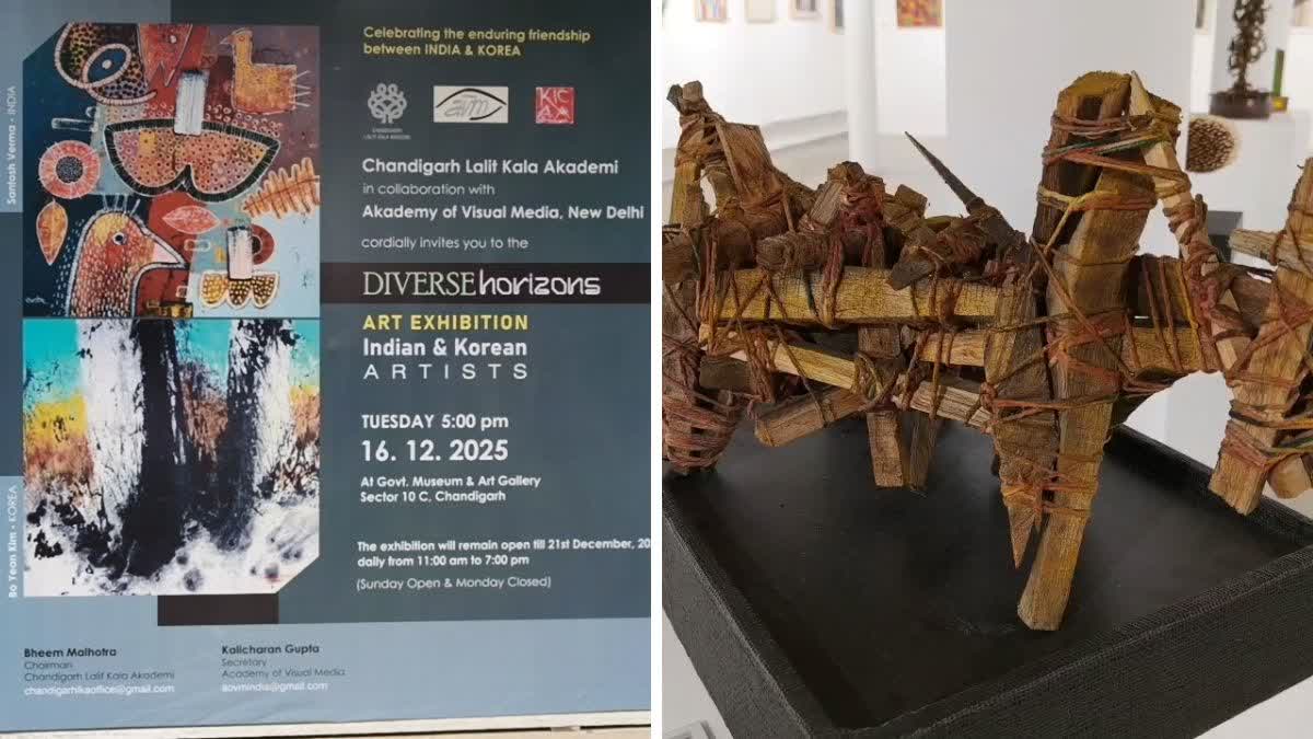 Diverse Horizons Art Exhibition