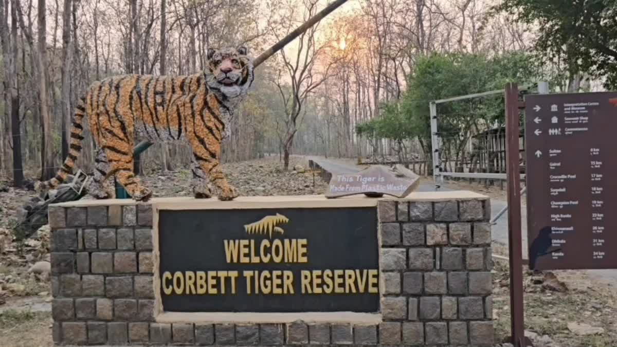 High security in Corbett Park