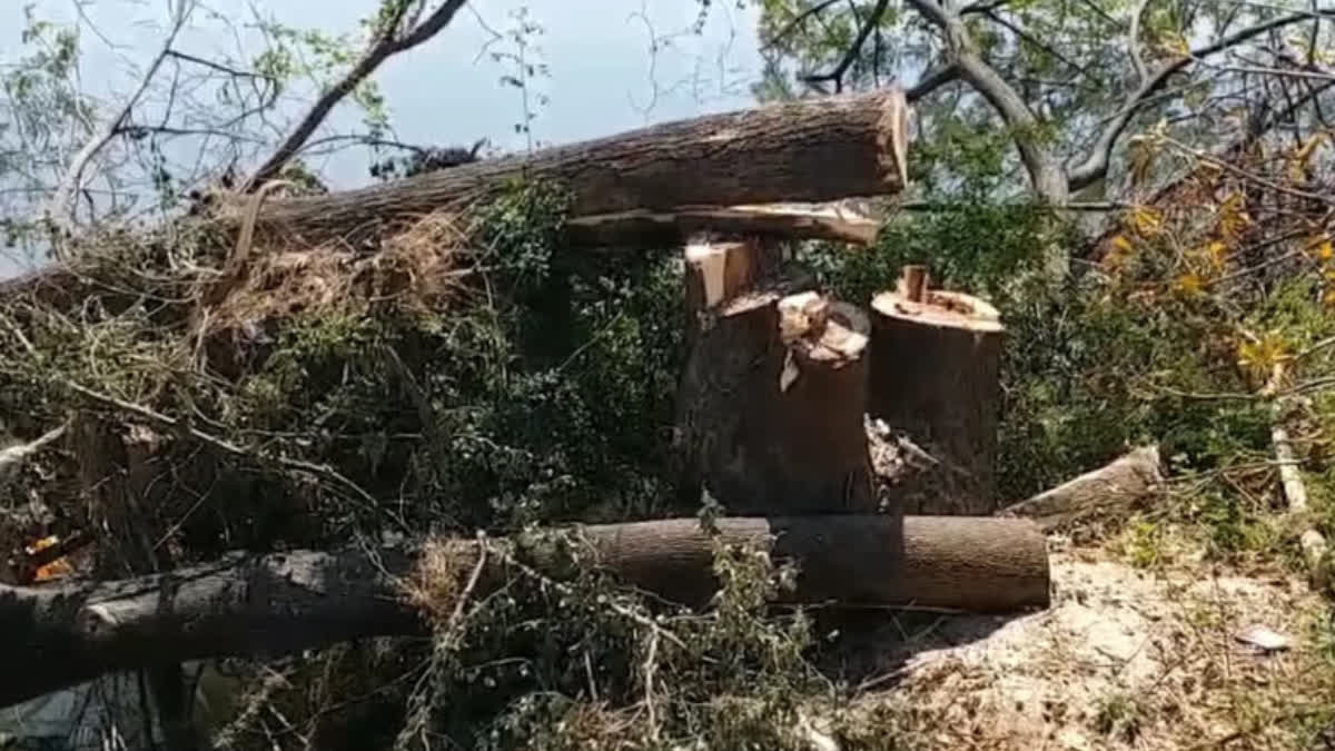 Maharashtra