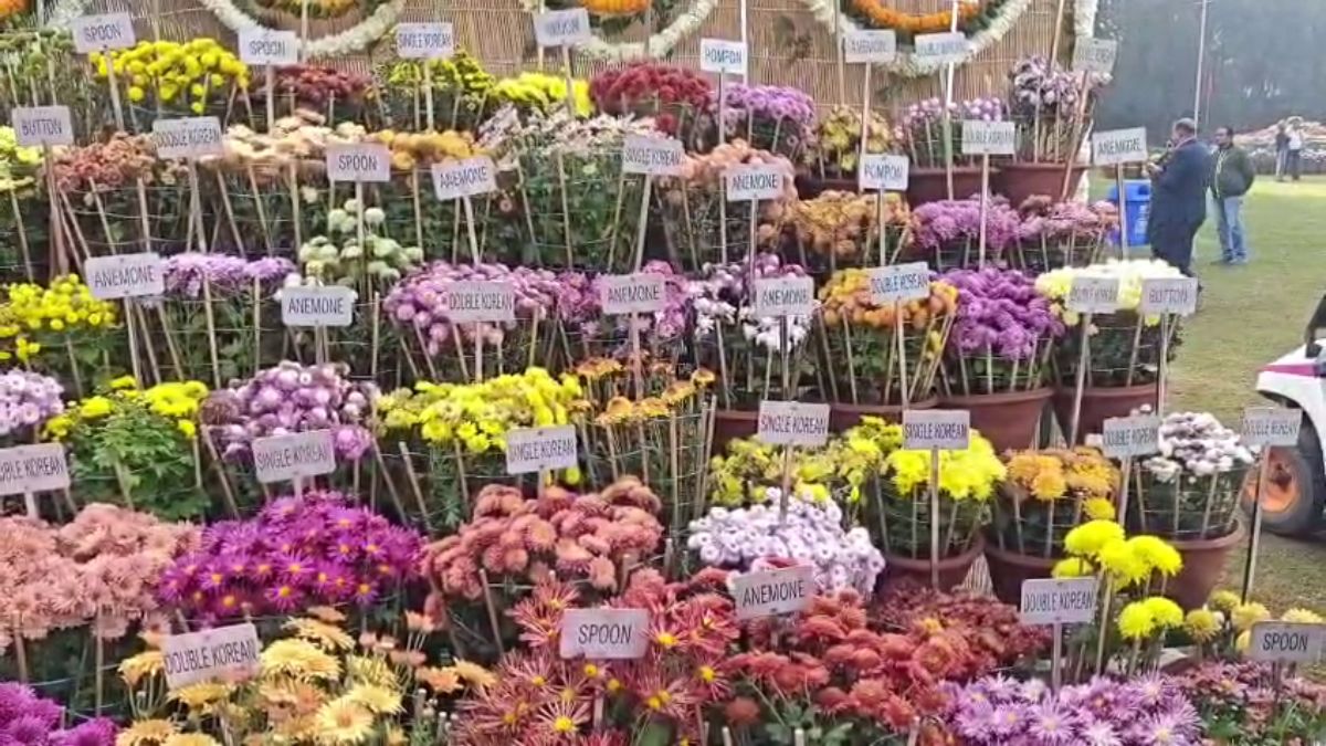 Chandigarh 38th Guldawdi Show